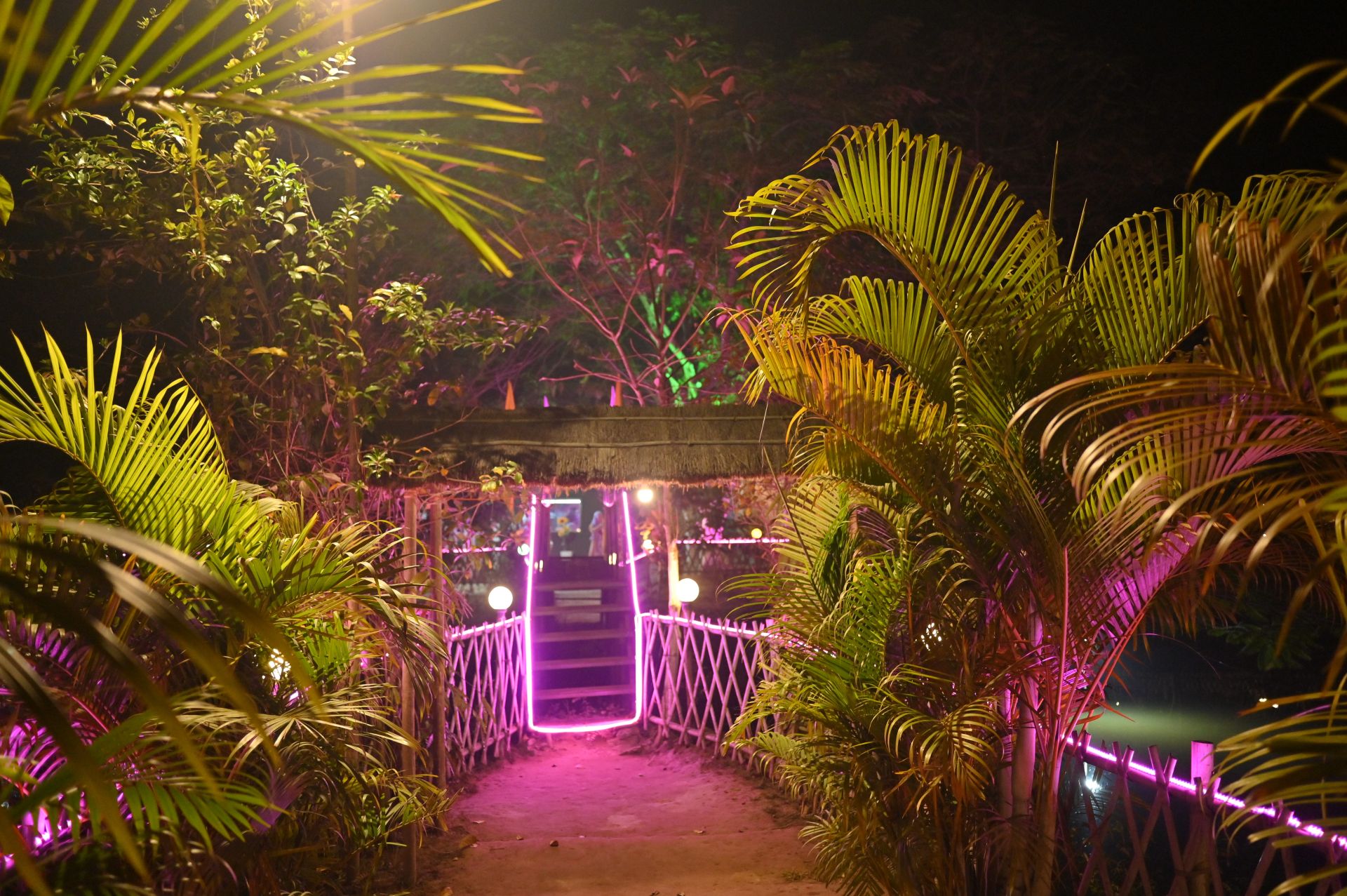 Services & Facilities